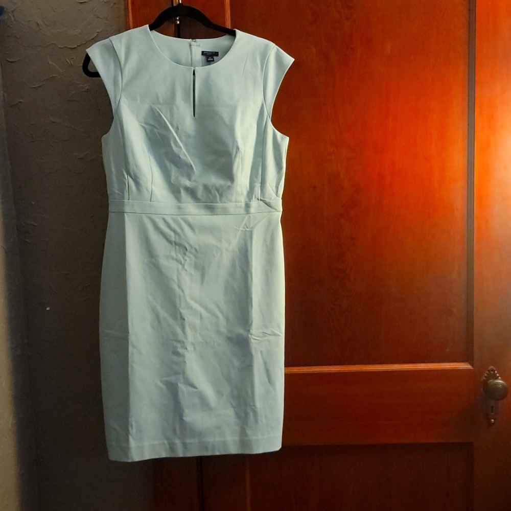 Ann Taylor Dress